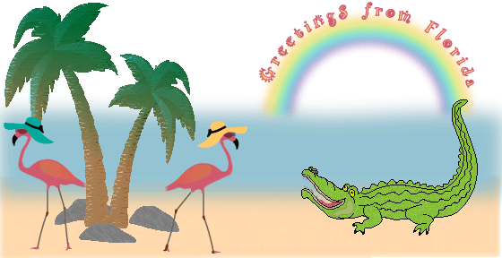greetings to florida postcard